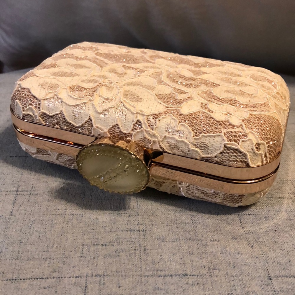 Stunning clutch purse